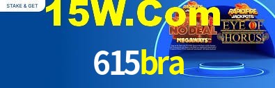 615bra App Interface
